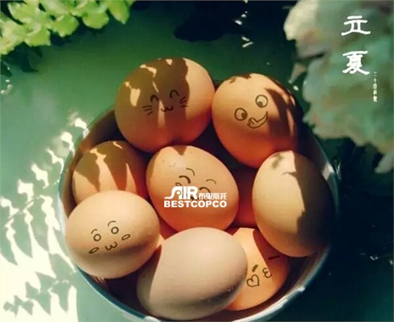 立夏蛋1 立夏蛋1