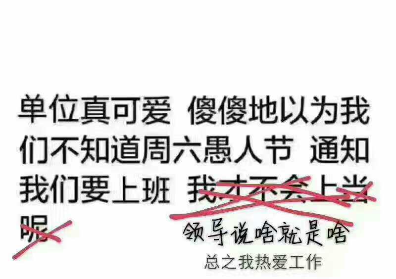 逗我呢？！